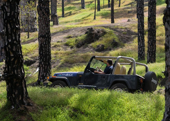 excursiones-en-4x4-en-la-palma