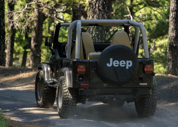 excursiones-en-4x4-en-la-palma