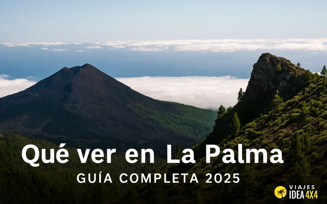 que ver en la palma