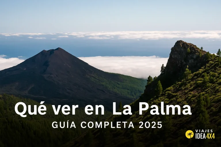 que ver en la palma