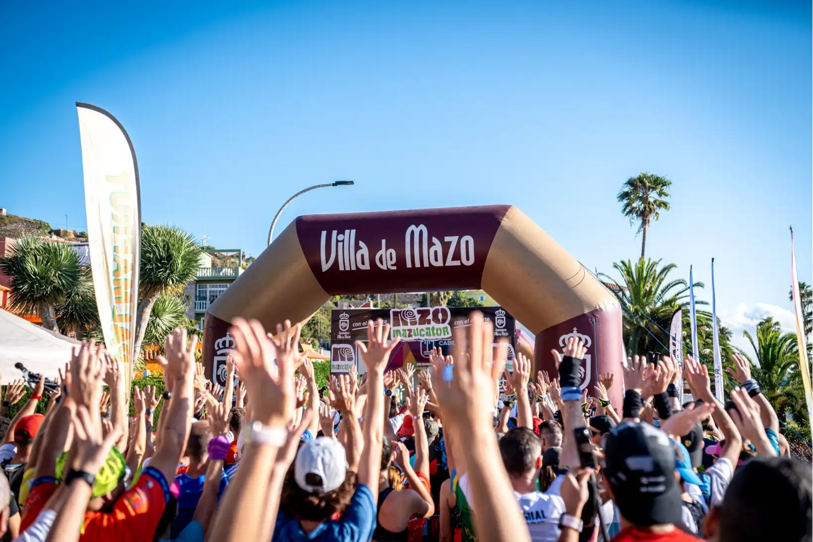 villa de mazo la palma-2